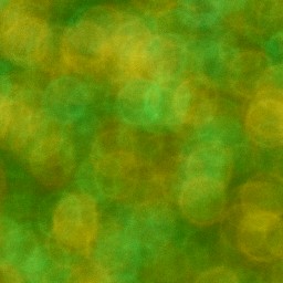 Bokeh-492